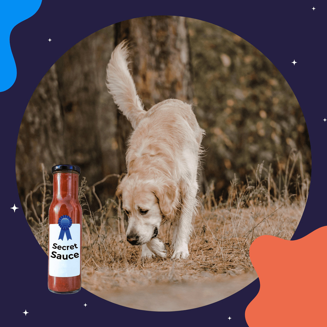 Secret Sauce: Competitive Effectiveness Virtual Event