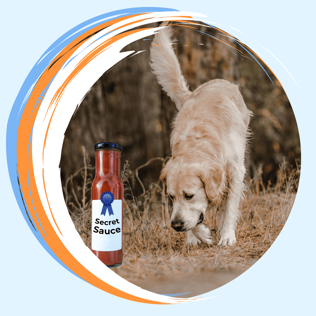 Secret Sauce: Competitive Effectiveness Virtual Event