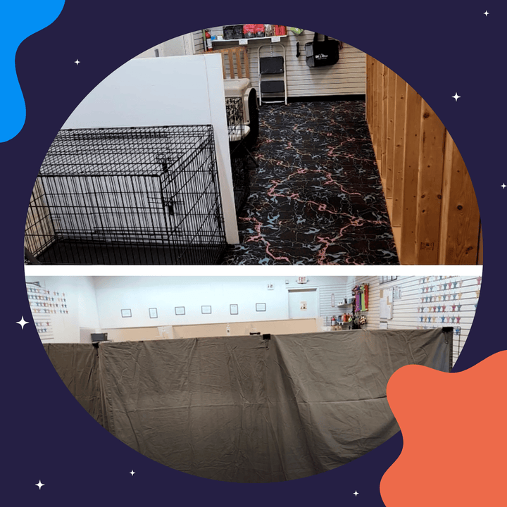 Setting Up Your Training Space for All Dogs Seminar Module