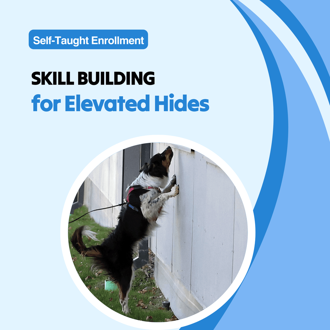 Skill Building for Elevated Hides Course