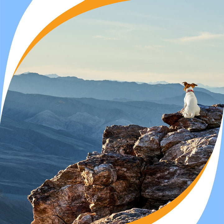 Skills for Elite and Summit: High-End Problem-Solving Webinar