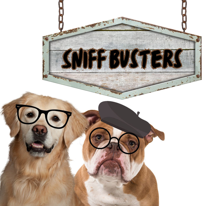 Sniff Busters Webinar
