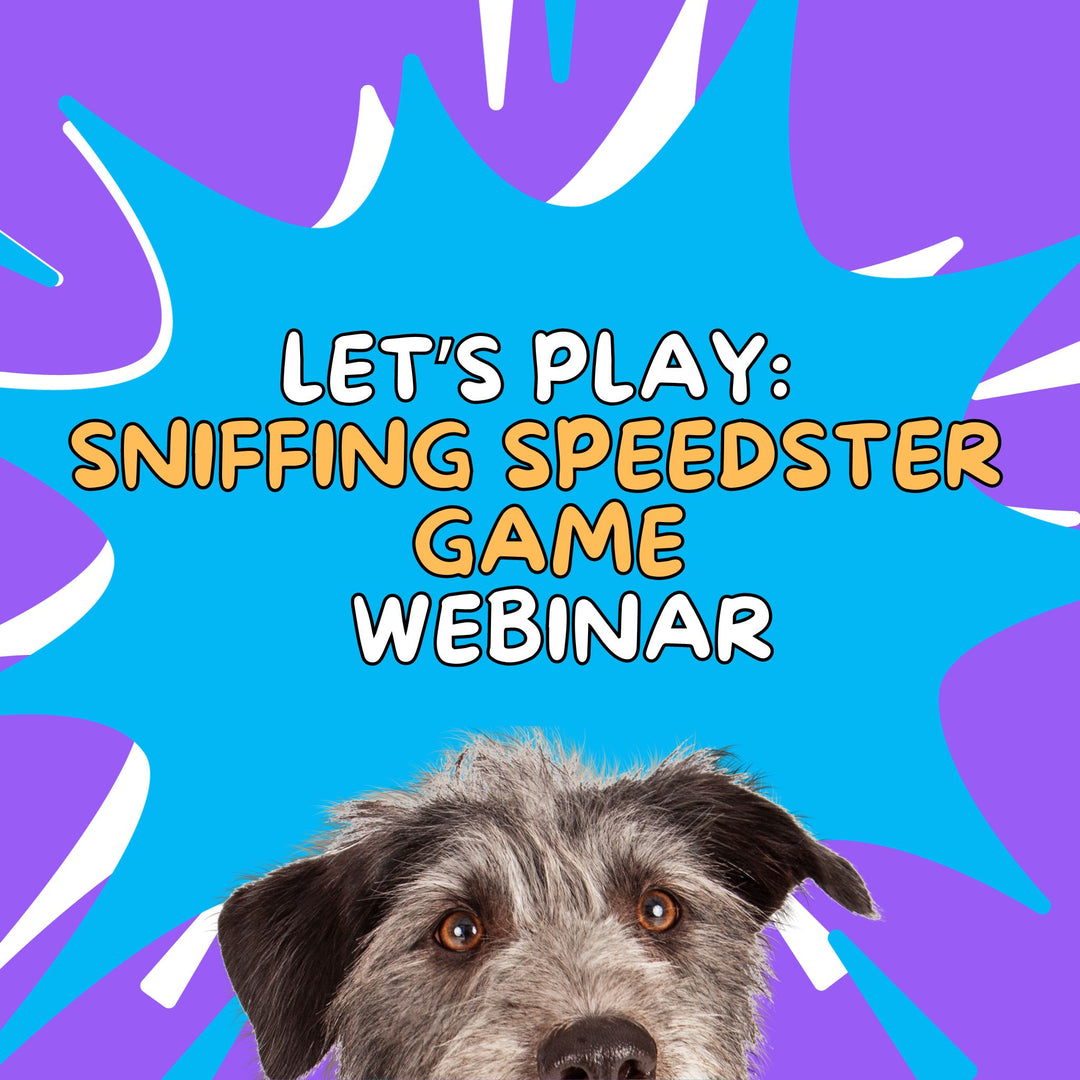 Let's Play: Sniffing Speedster Webinar