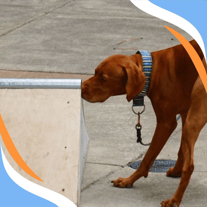 Stay at That Hide: Building Stickiness Between Communication and Handler Response