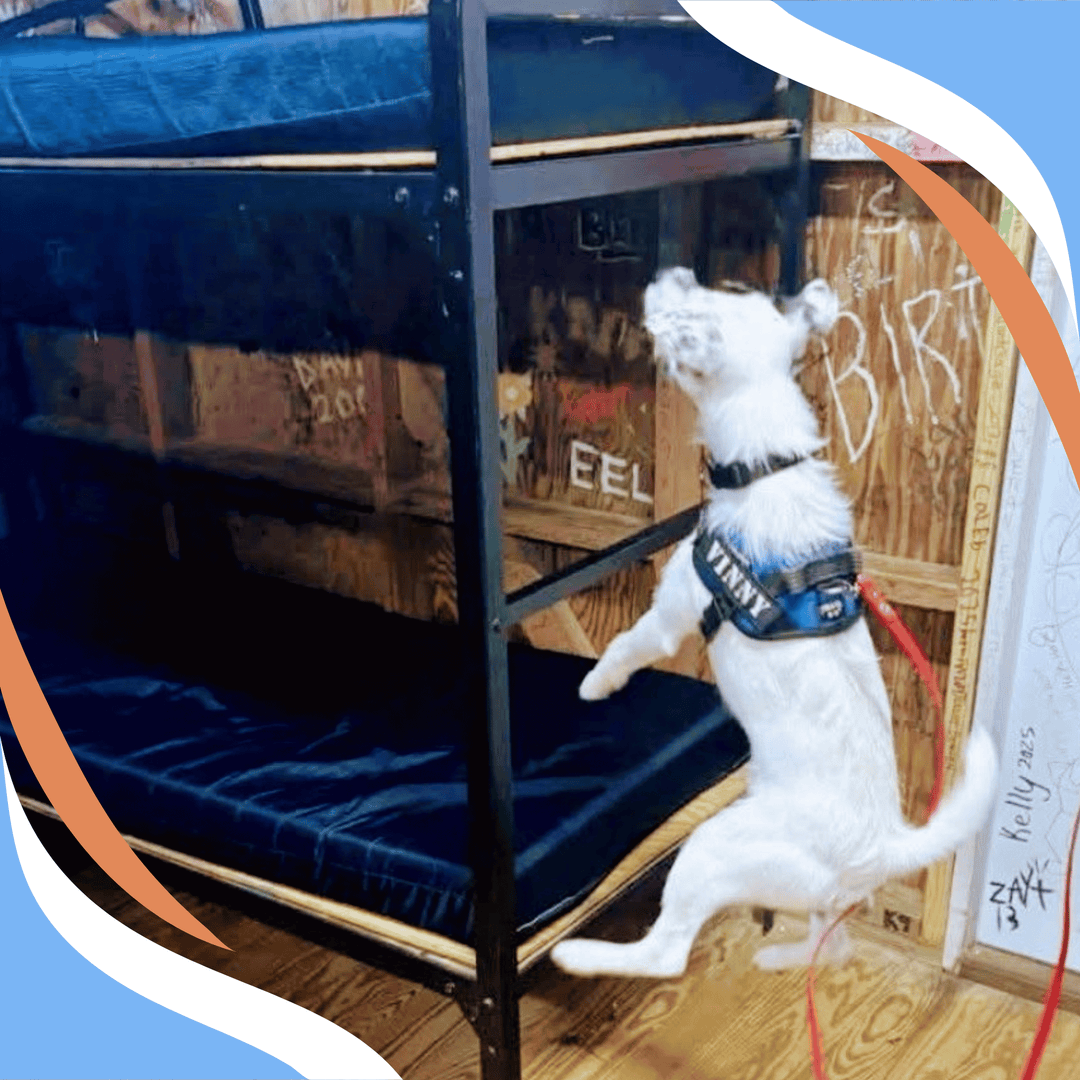 Be Strategic: Breaking Down the NACSW Walk Through Webinar