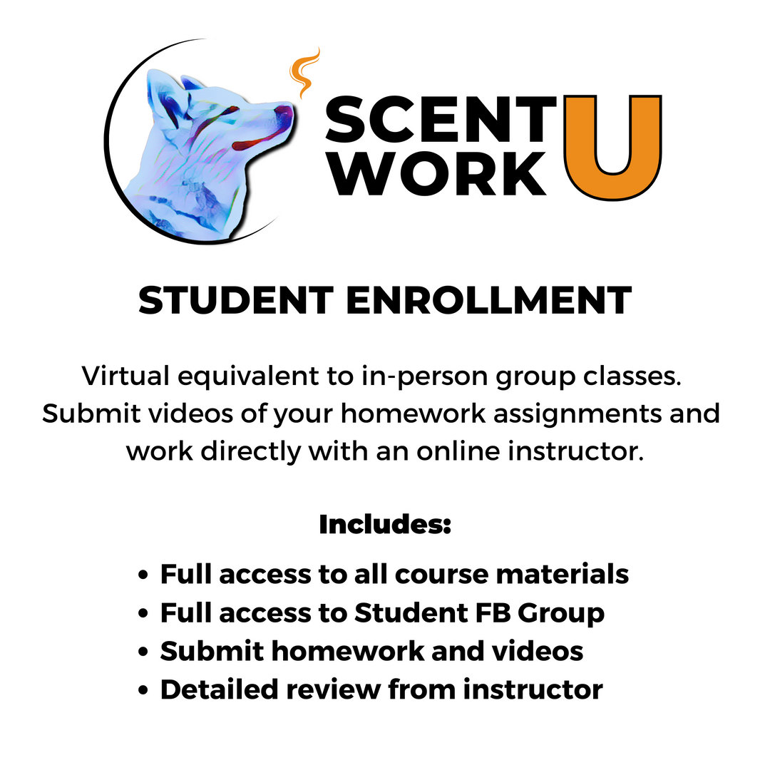CSW: Advanced, Master & Expert Prep Course
