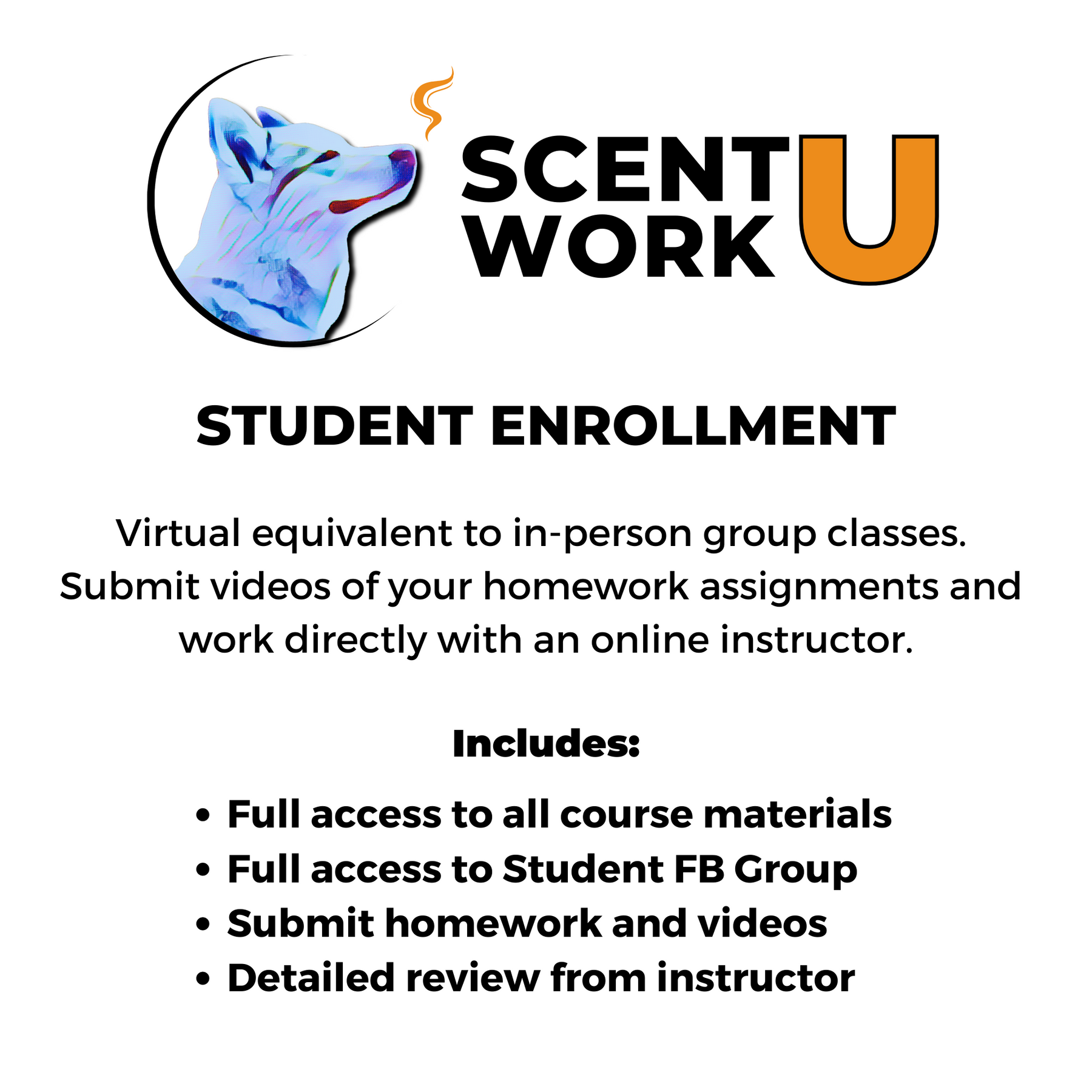 AKC Scent Work: Novice Level Trial Prep Course – Scent Work University