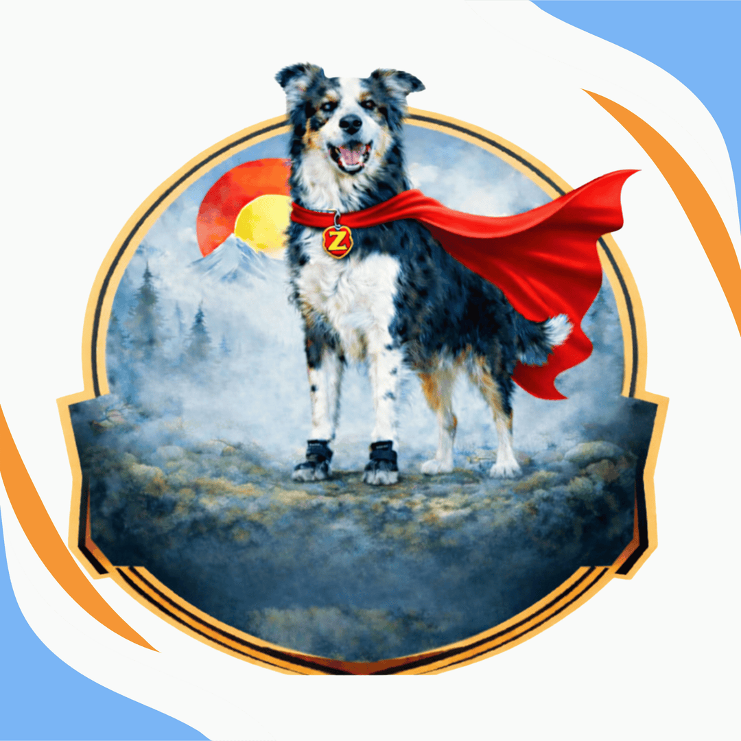 Train the Super Hero in Your Elite Dog with Metrics Webinar