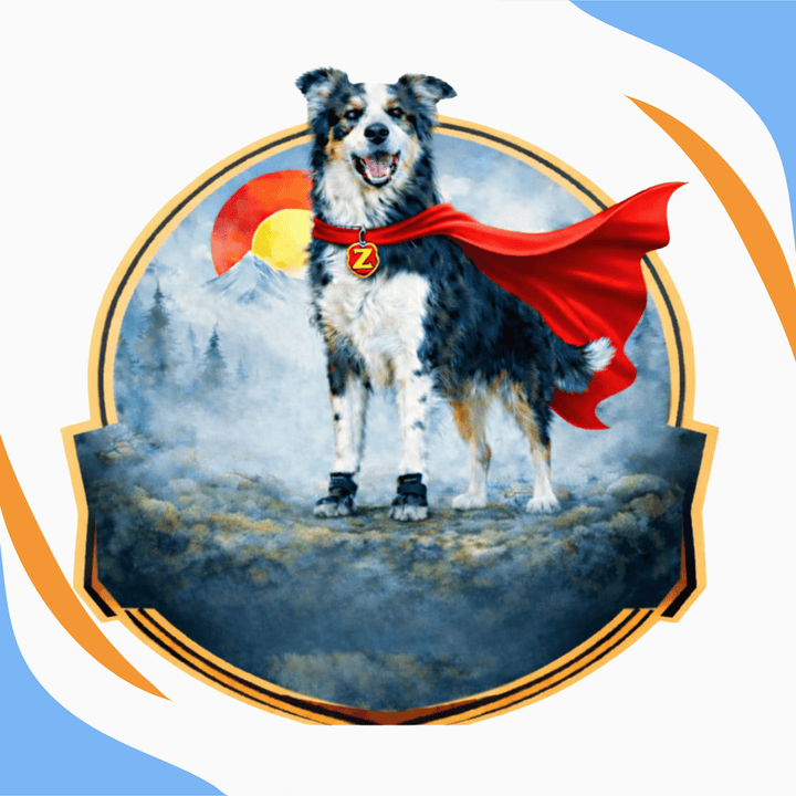 Train the Super Hero in Your Elite Dog with Metrics Webinar