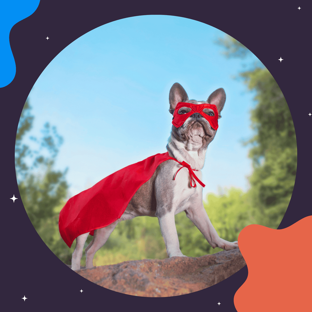 Super Sniffers: Preparing for Detective, Elite & Summit Competition Seminar