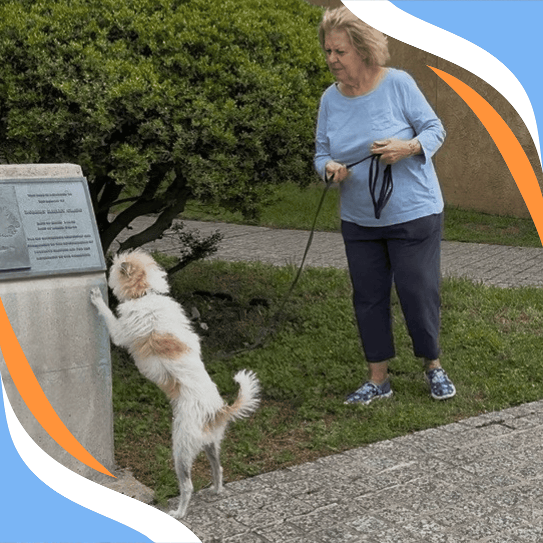 Supporting v Interfering: Becoming a Better Handler in Scent Work Webinar