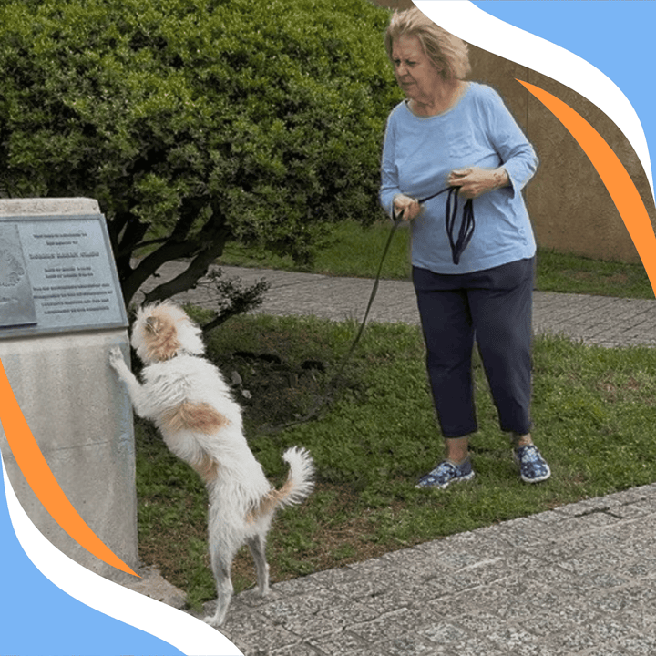 Supporting v Interfering: Becoming a Better Handler in Scent Work Webinar