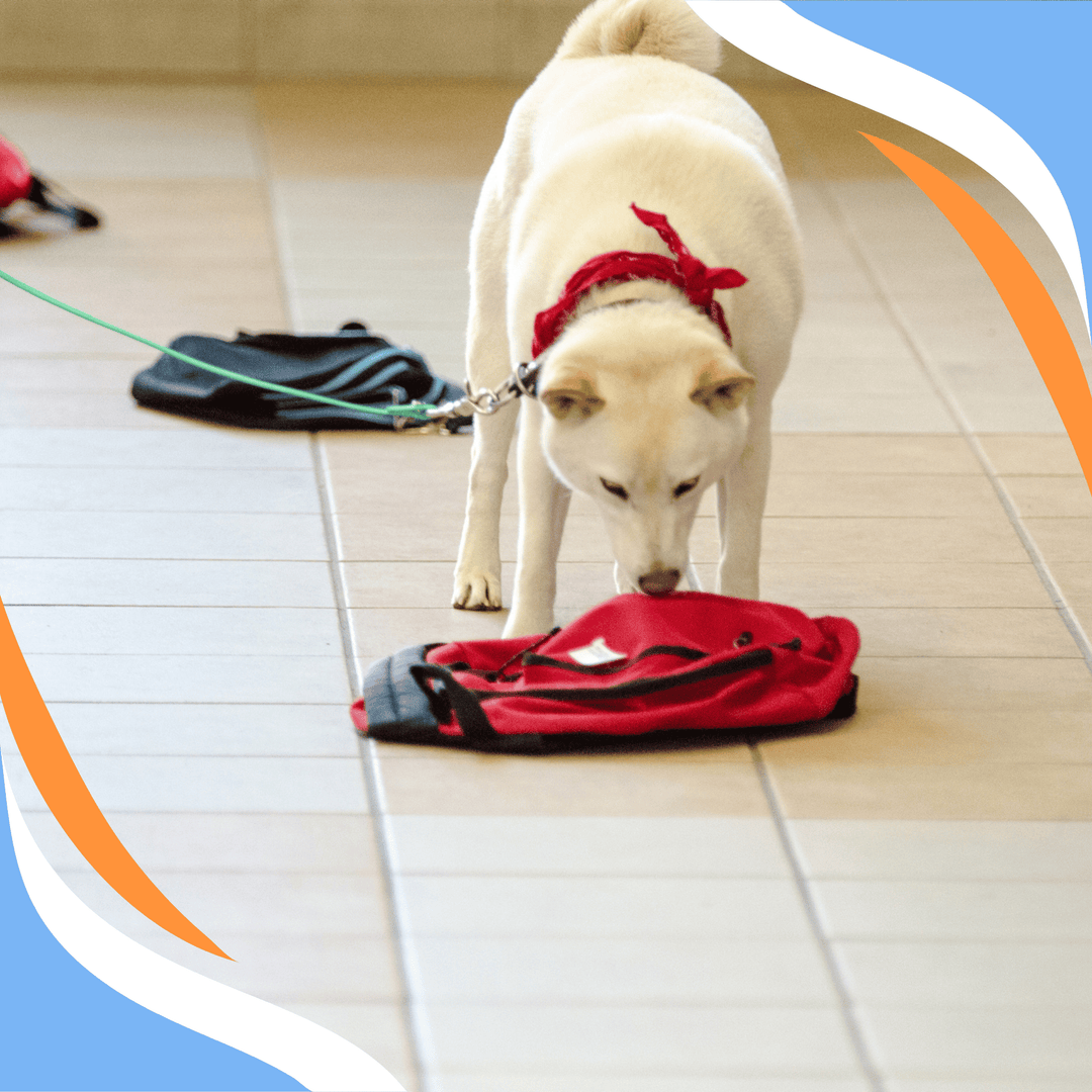 Do You Have a Team Mindset? Webinar