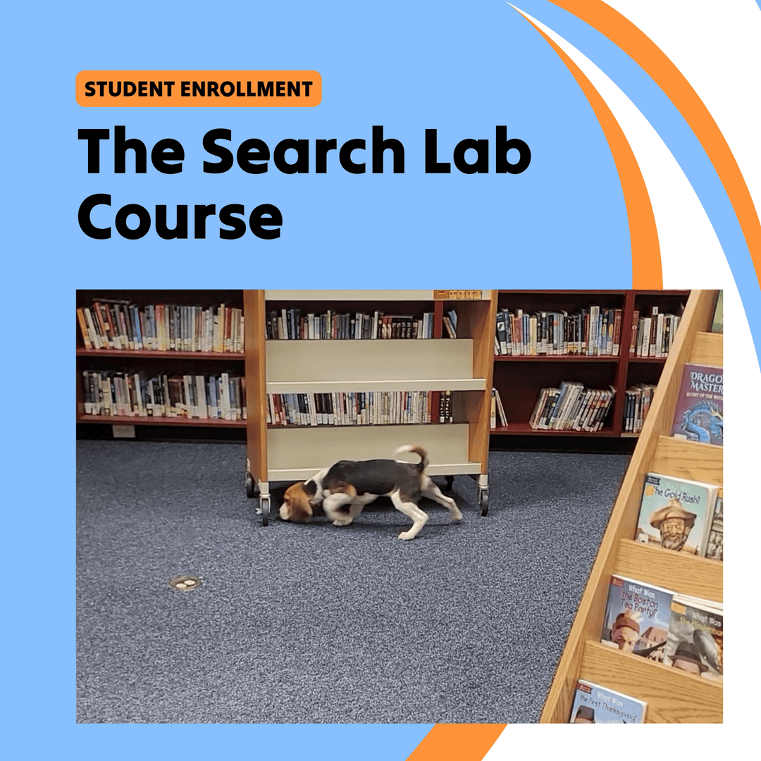 The Search Lab Course