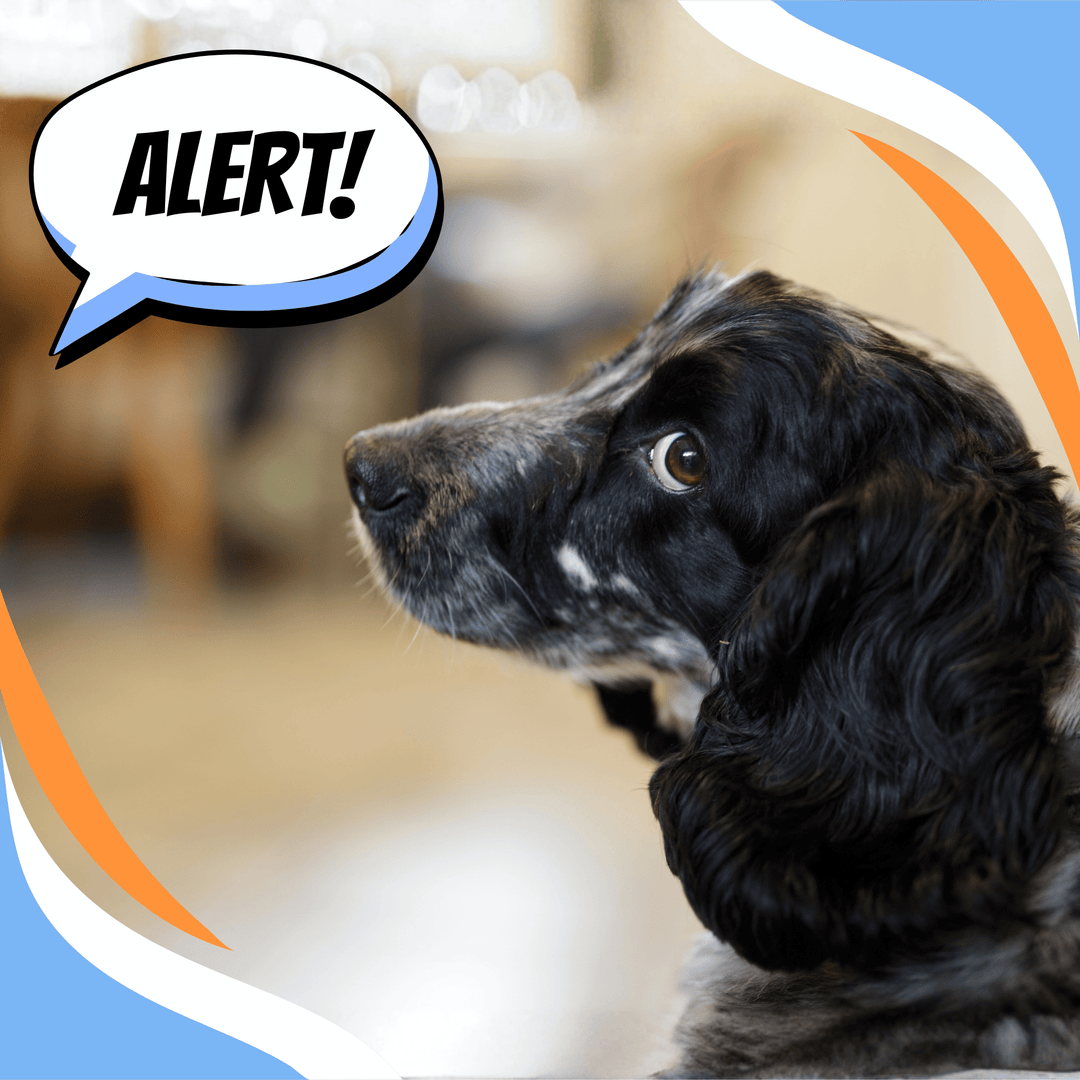 The Good Call: Calling the Hide in Training and in Trial Webinar