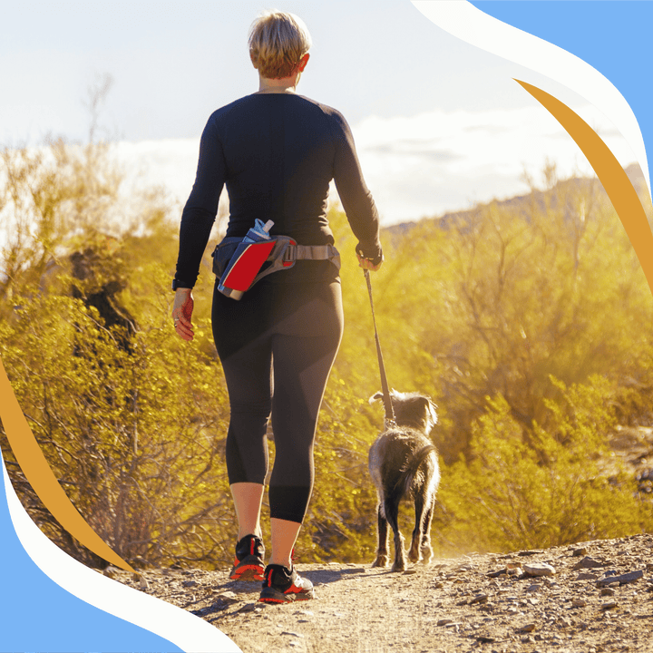 Handker Use Know Your Role: The Handler’s Role in Training Webinar – Scent Work ...
