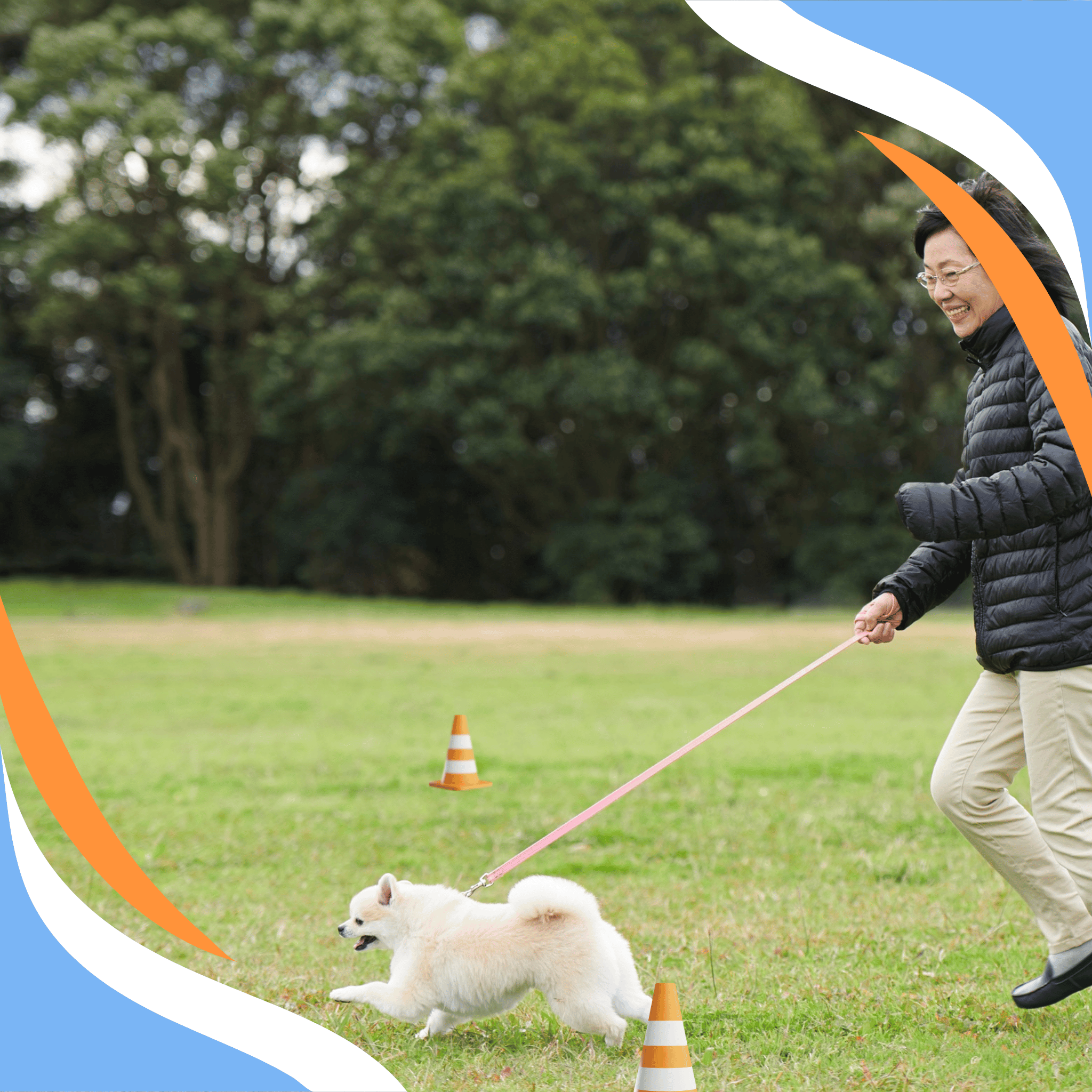 Know Your Role: The Handler’s Role in Trialing Webinar – Scent Work ...