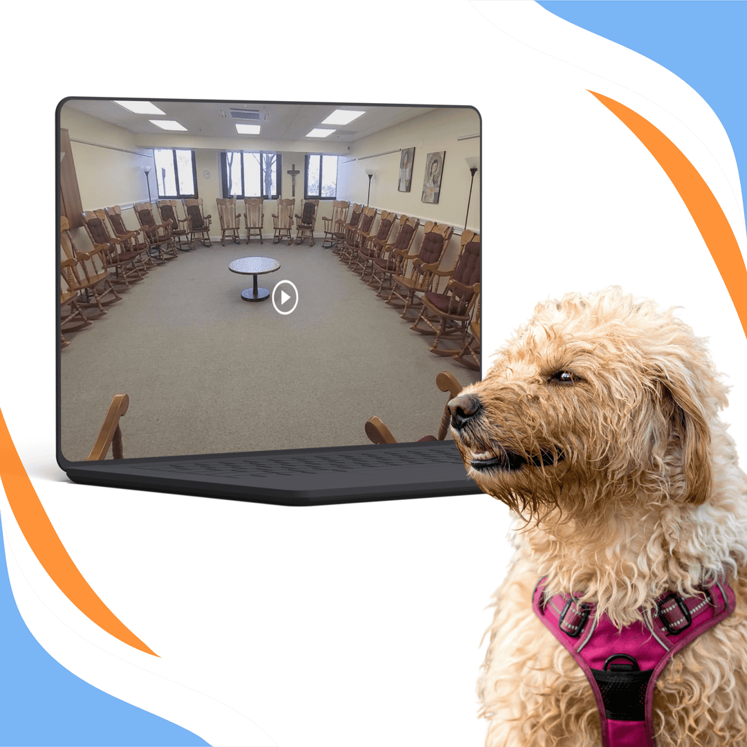 Tony's Strategic Insights: Evaluating NACSW Virtual Walkthrough Videos (July 2026) Webinar