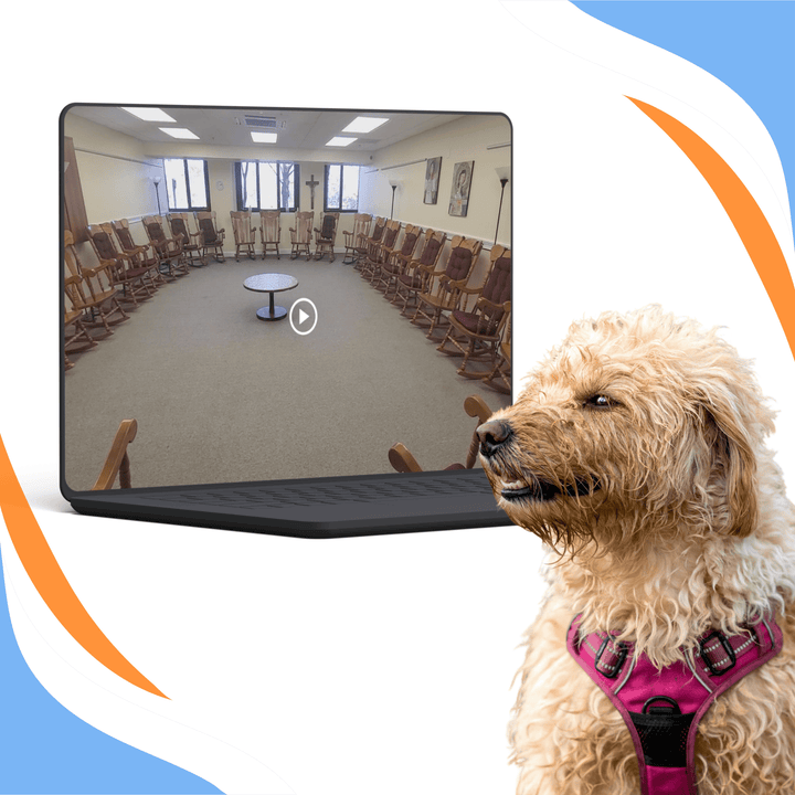 Tony's Strategic Insights: Evaluating NACSW Virtual Walkthrough Videos (July 2026) Webinar