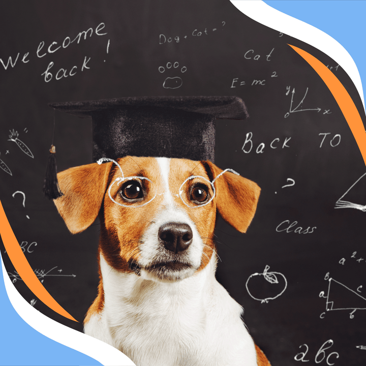 Training to Plan; Planning to Train Webinar