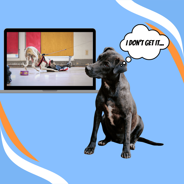 Maintaining and Troubleshooting the Nose Poke Alert Webinar