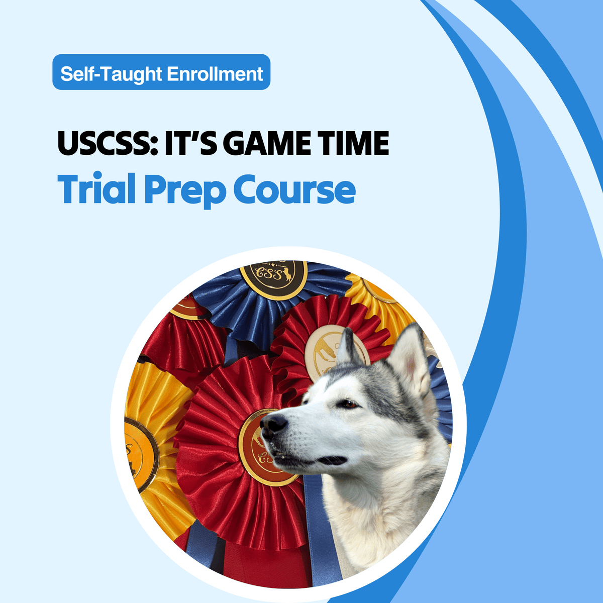 Uscss Al USCSS: It's Game Time Trial Prep Course – Scent Work University
