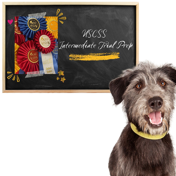 USCSS: Intermediate Trial Prep Course