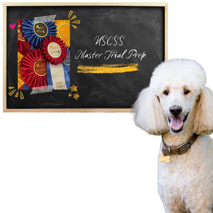 USCSS: Master Trial Prep Course