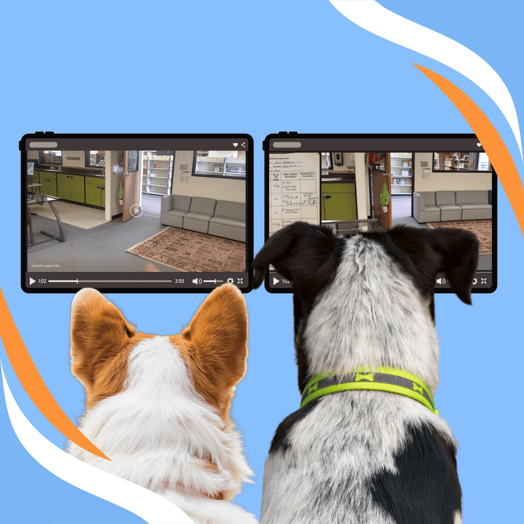 Using Walkthrough and Debrief Videos to Analyze Your Team's Problem Solving Webinar