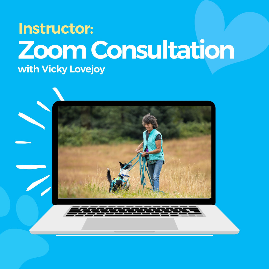 Instructor: Zoom Consultation with Vicky Lovejoy