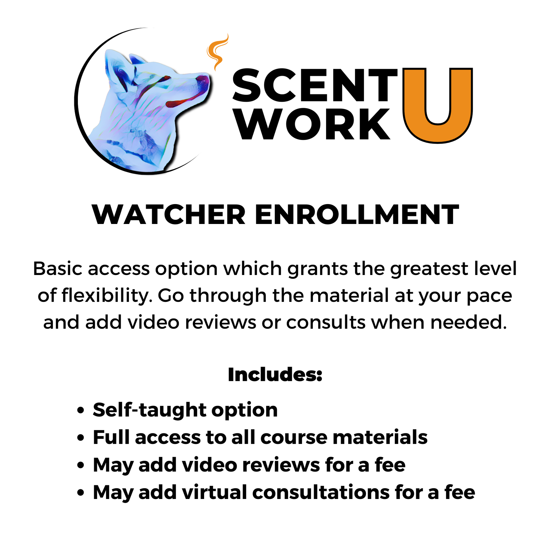 AKC Scent Work: Novice Level Trial Prep Course – Scent Work University