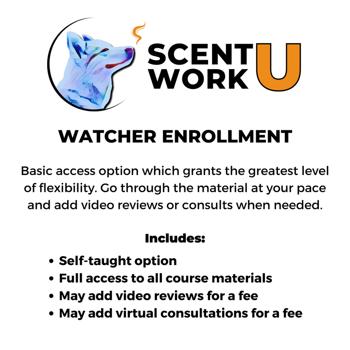 Introduction to Scent Work Course