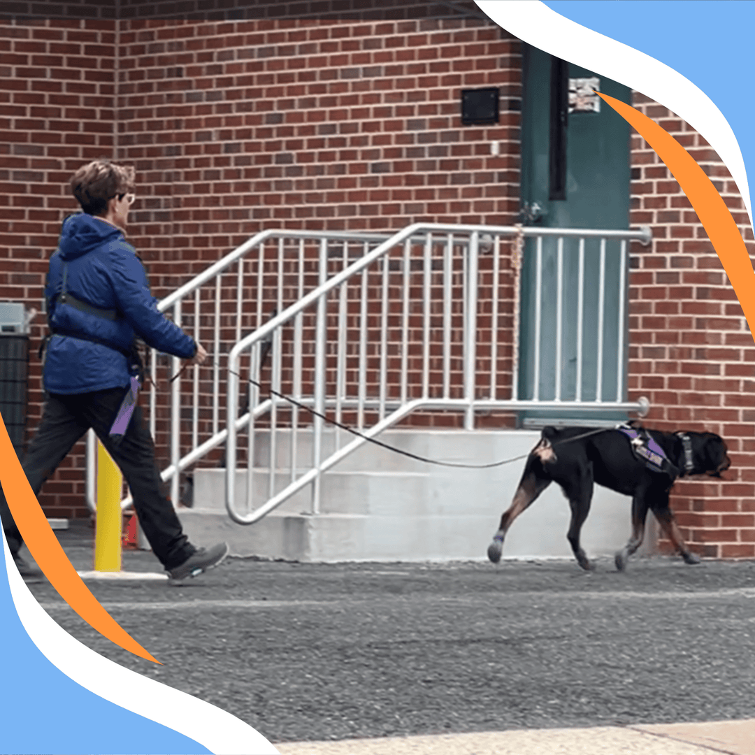 What the Nose Knows and the Camera Sees Webinar