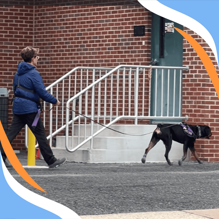 What the Nose Knows and the Camera Sees Webinar