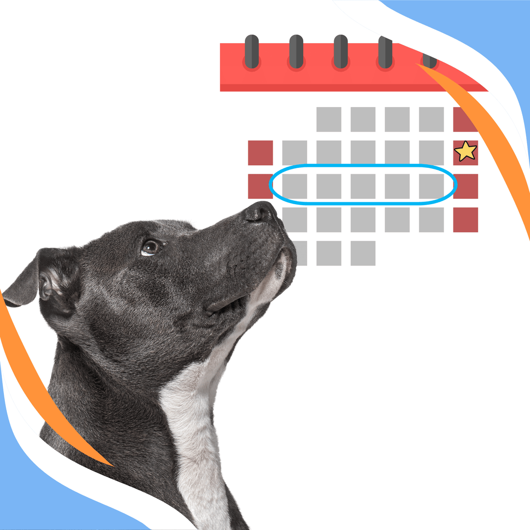 What to Do: Days After the Trial Webinar