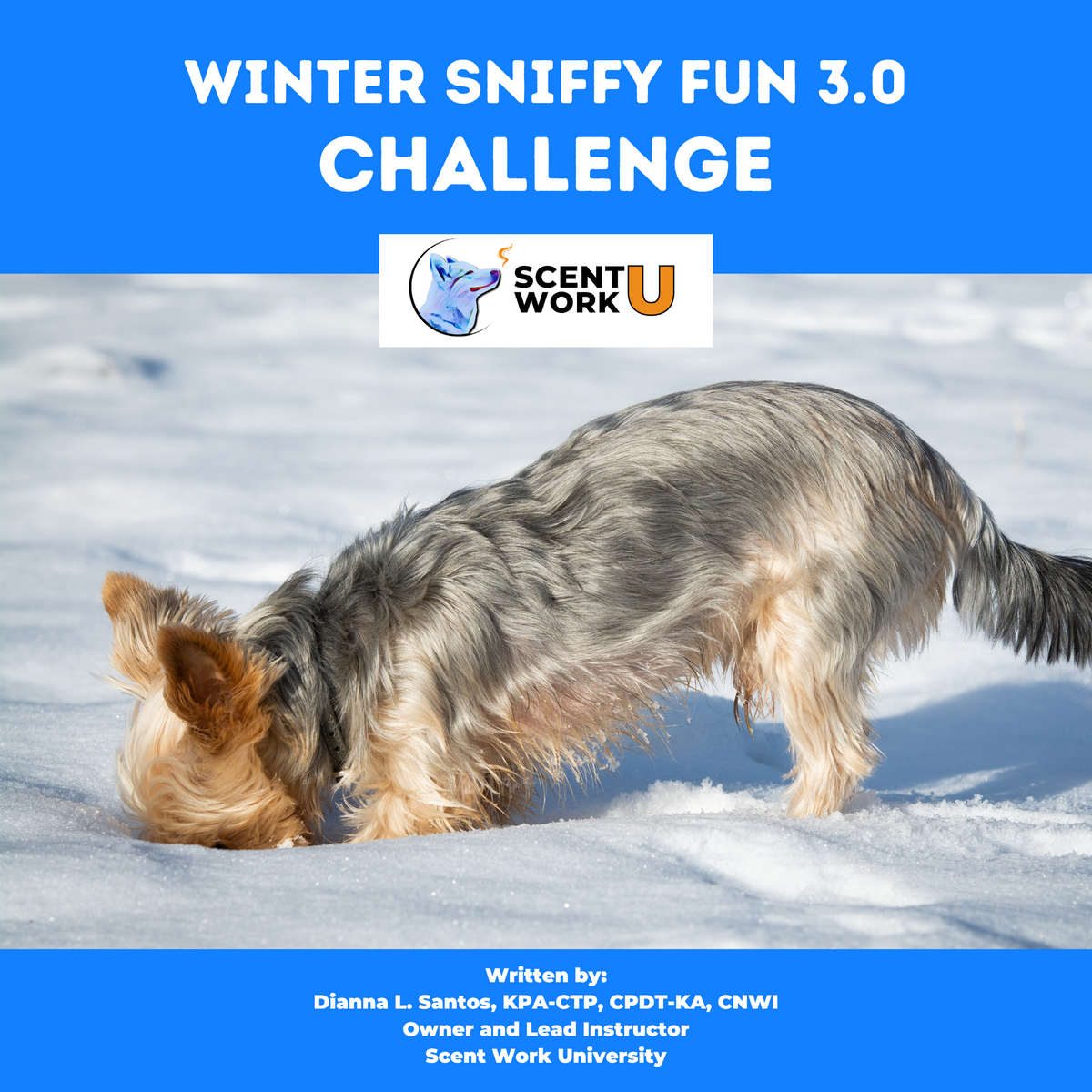 Y Fun Sniffy Fun Challenges – Scent Work University