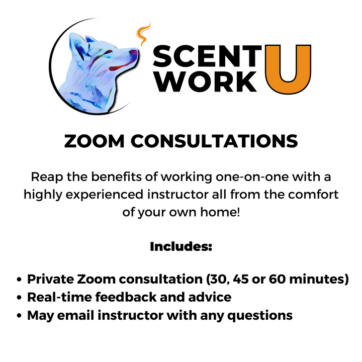 Scent Work Zoom Consultation: Michael McManus