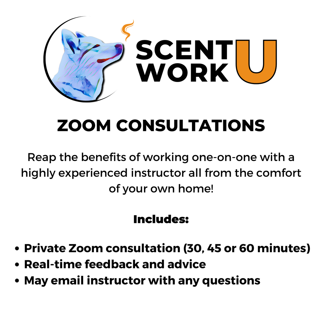 Scent Work Zoom Consultation: Laurel Scarioni