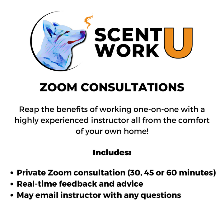 Scent Work Zoom Consultation: Vicky Lovejoy