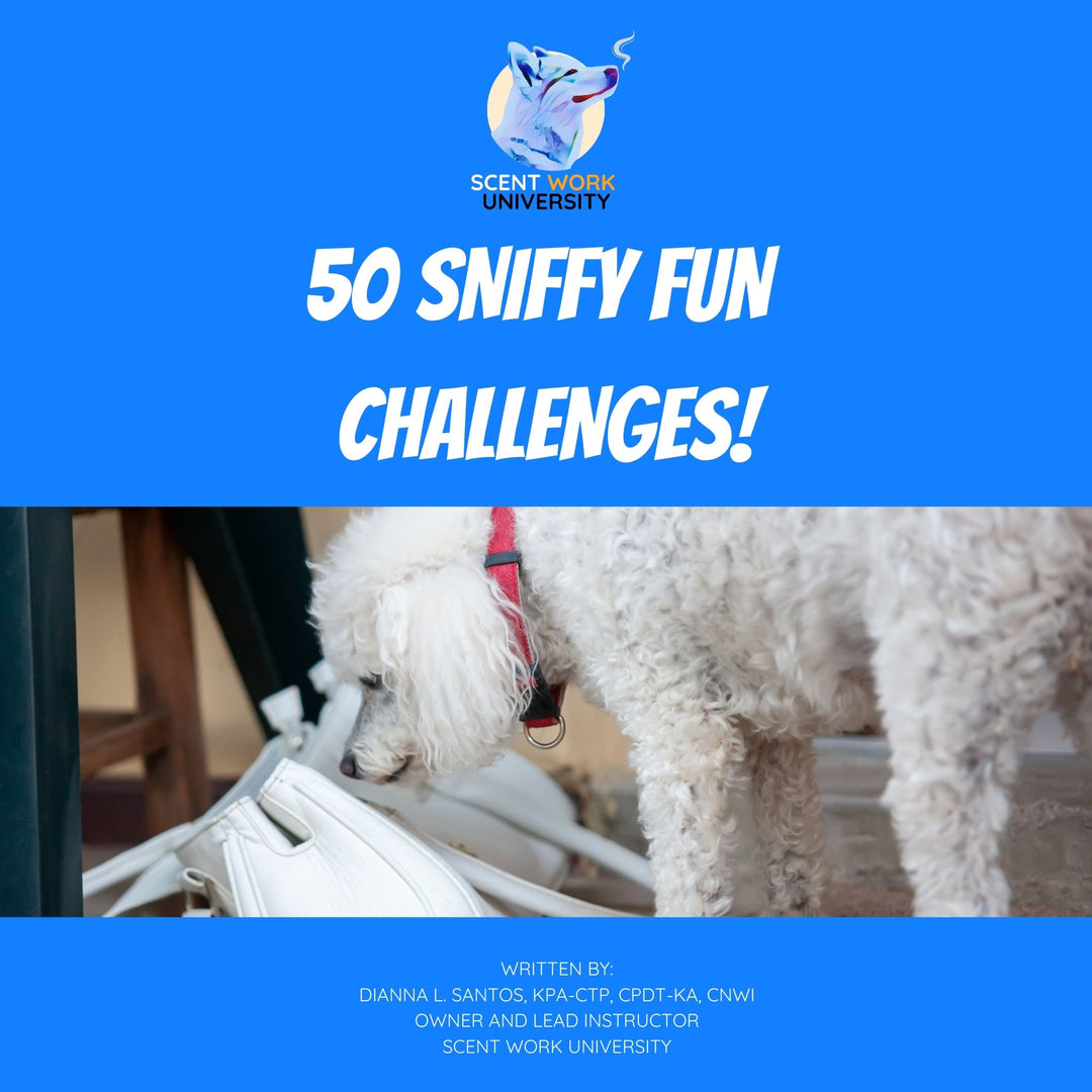 50 Sniffy Fun Challenges eBook
