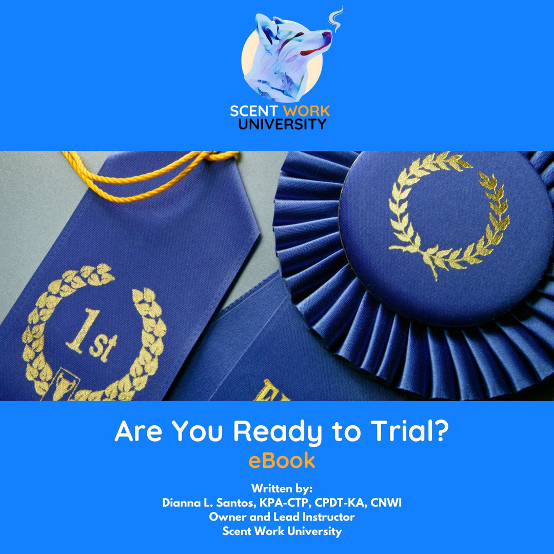 Are You Ready to Trial? eBook