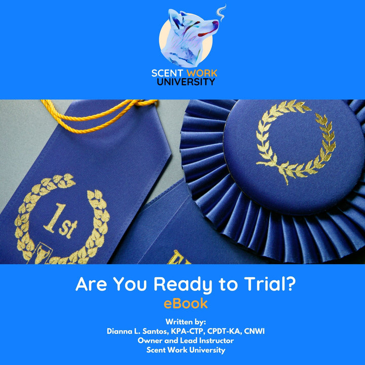 Are You Ready to Trial? eBook