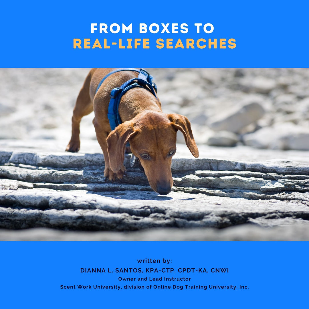 From Boxes to Real-Life Searches eBook