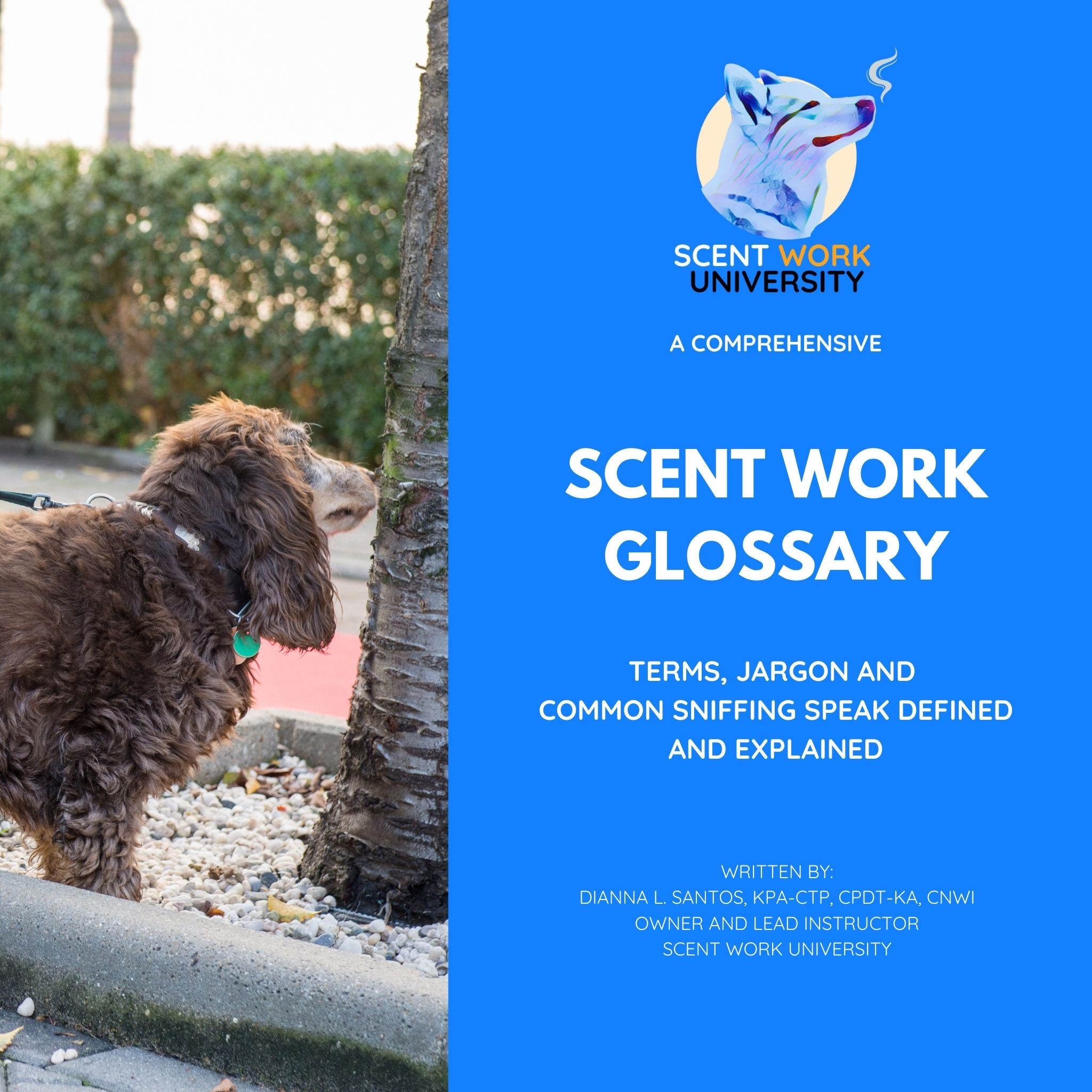 A Comprehensive Scent Work Glossary – Scent Work University