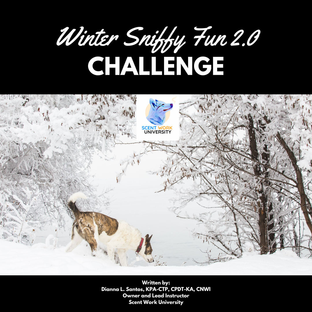 Winter Sniffy Fun 2.0 Challenge eBook