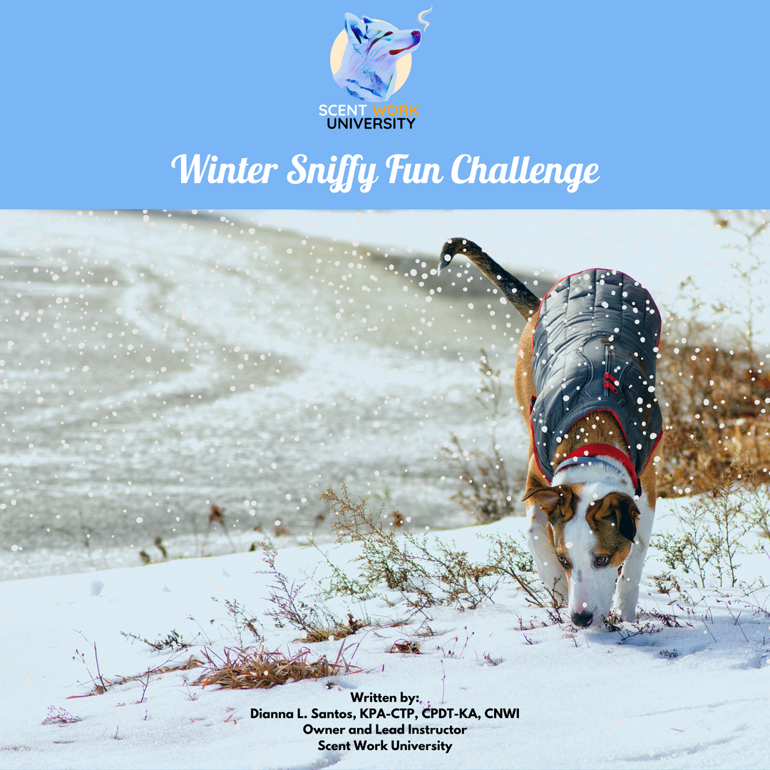 Winter Sniffy Fun Challenge eBook