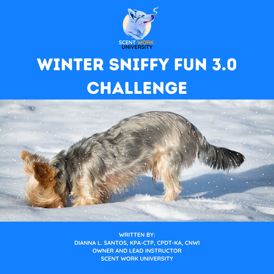 Winter Sniffy Fun 3.0 Challenge eBook